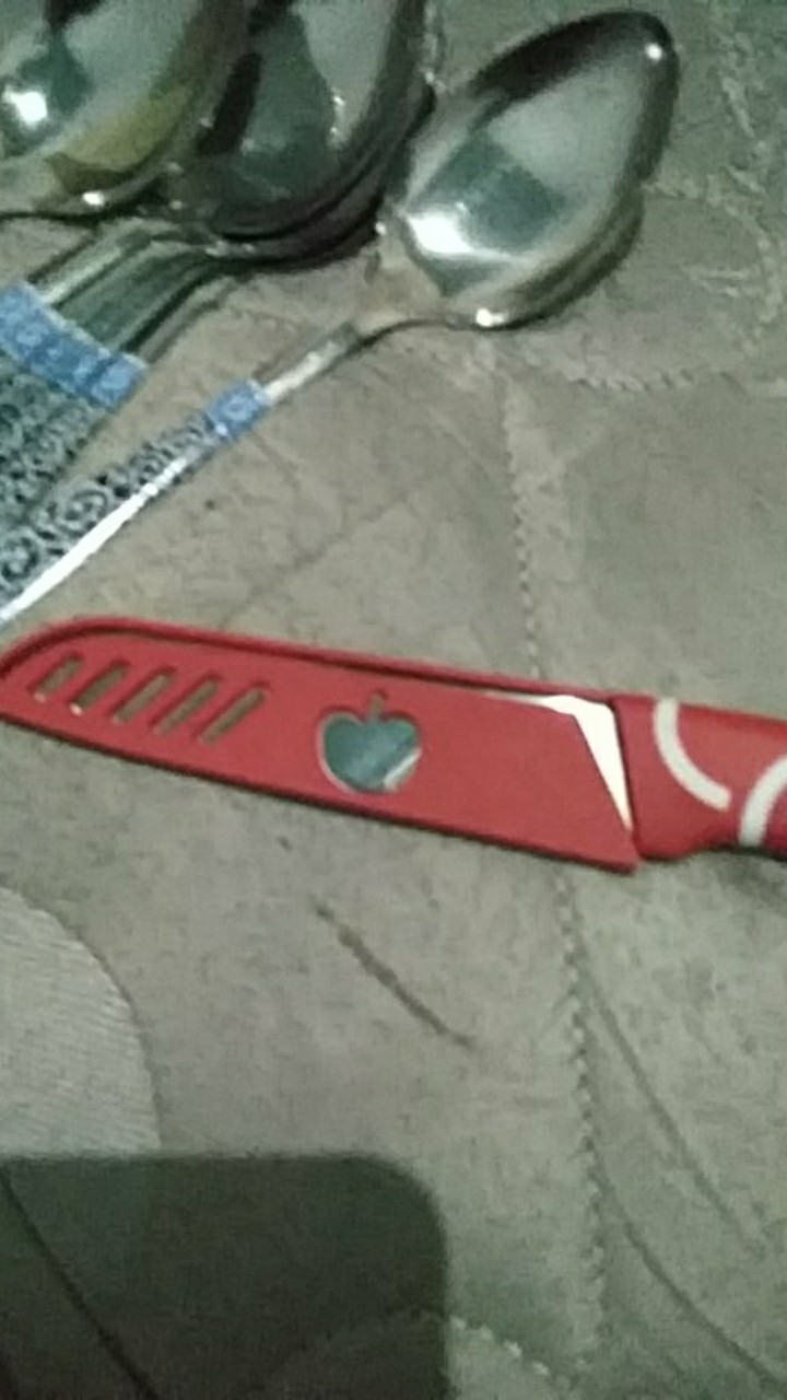 Pisau Buah Sayur Makanan Kitchen Set Stainless Steel Knife Dapur Unik / Pisau Apel