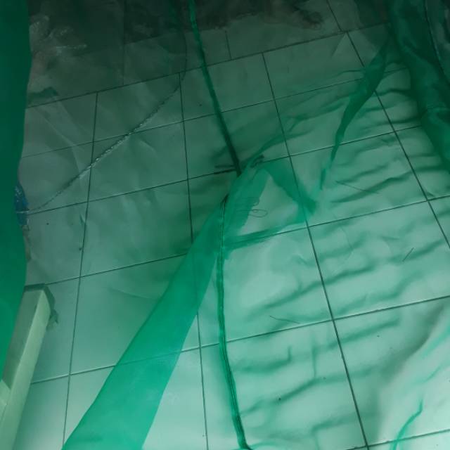 Waring keramba ukuran 2x4 tinggi 1merer bahan bisa pilih mau bahan kassa hijau/waring doble RK hita