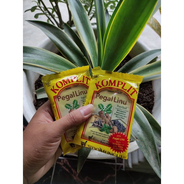 

Pegel Linu Komplit Sido Muncul