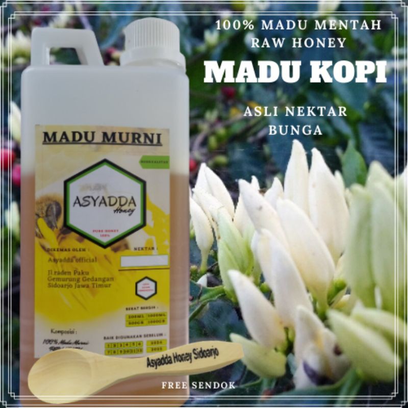 

Madu Kopi Murni Asli 1 kg | Raw Honey Asli Madu Nektar Bunga | Madu Mentah Tanpa Proses