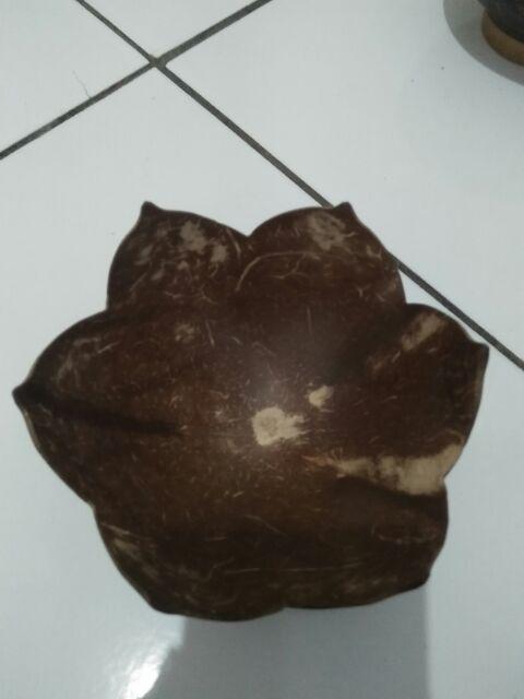 Mangkok Batok Ceper Mangkok Batok Kelapa Lepek Bunga Mangkok Batok Natural Unik