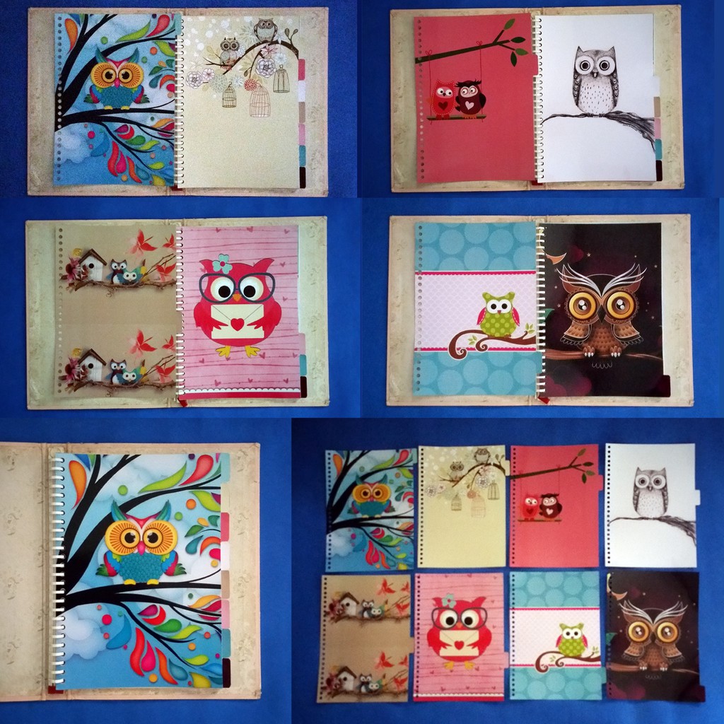 

Pembatas Owl binder organizer 2 Ring, 6 Ring, 20 Ring, 26 Ring 1 set 8 lembar laminasi glossy murah