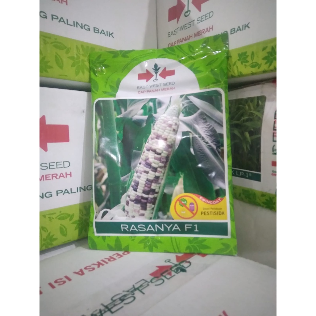Benih Jagung Pulut Rasanya F1 isi 250 gram