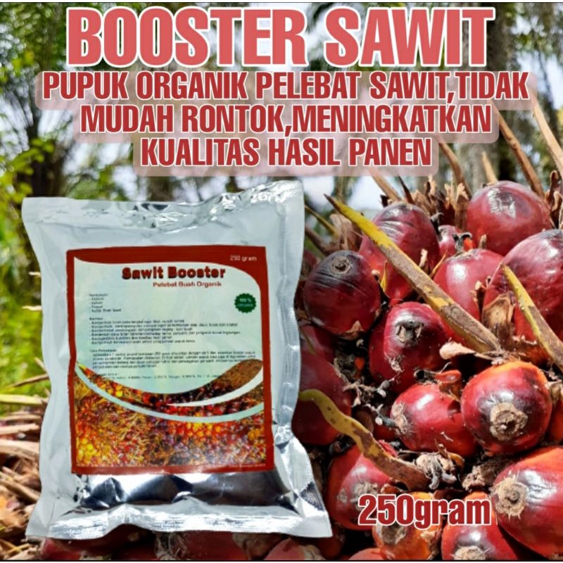 Pupuk Organik Pelebat Sawit dan Booster Perangsang Sawit Agar Cepat Berbuah Super Lebat