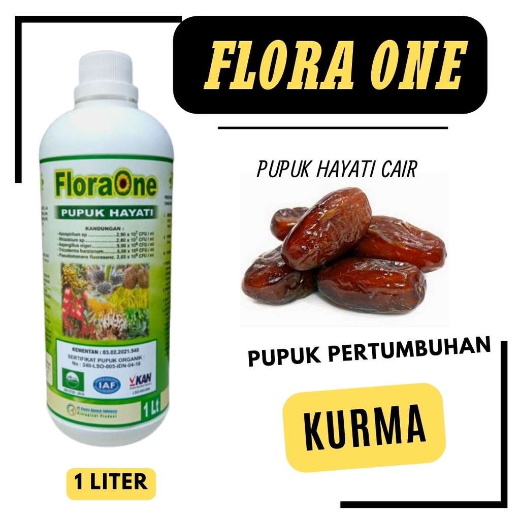 Pupuk Hayati Untuk Buah Kurma Jantan, Rhizobium sp Pseudomonas Fluorescens Bakterisida Penyubur Poho