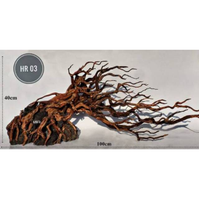 kayu aquascape akar rasamala