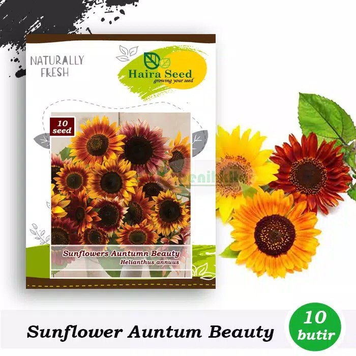 Pot Tanaman-bunga Bibit 9cm 5309-dx (lucky Star)