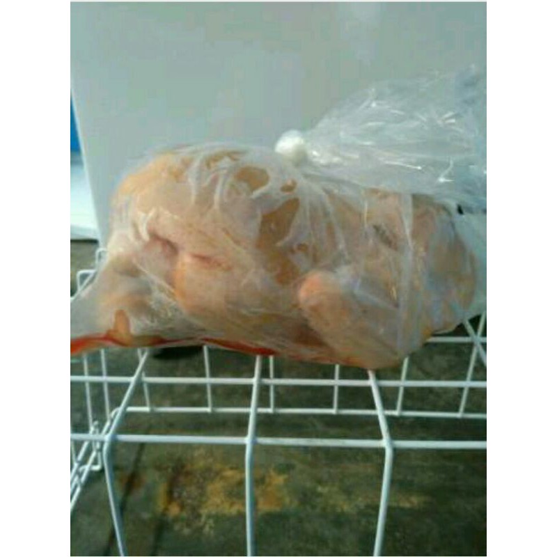 

AyamPotongLokalDariKoya