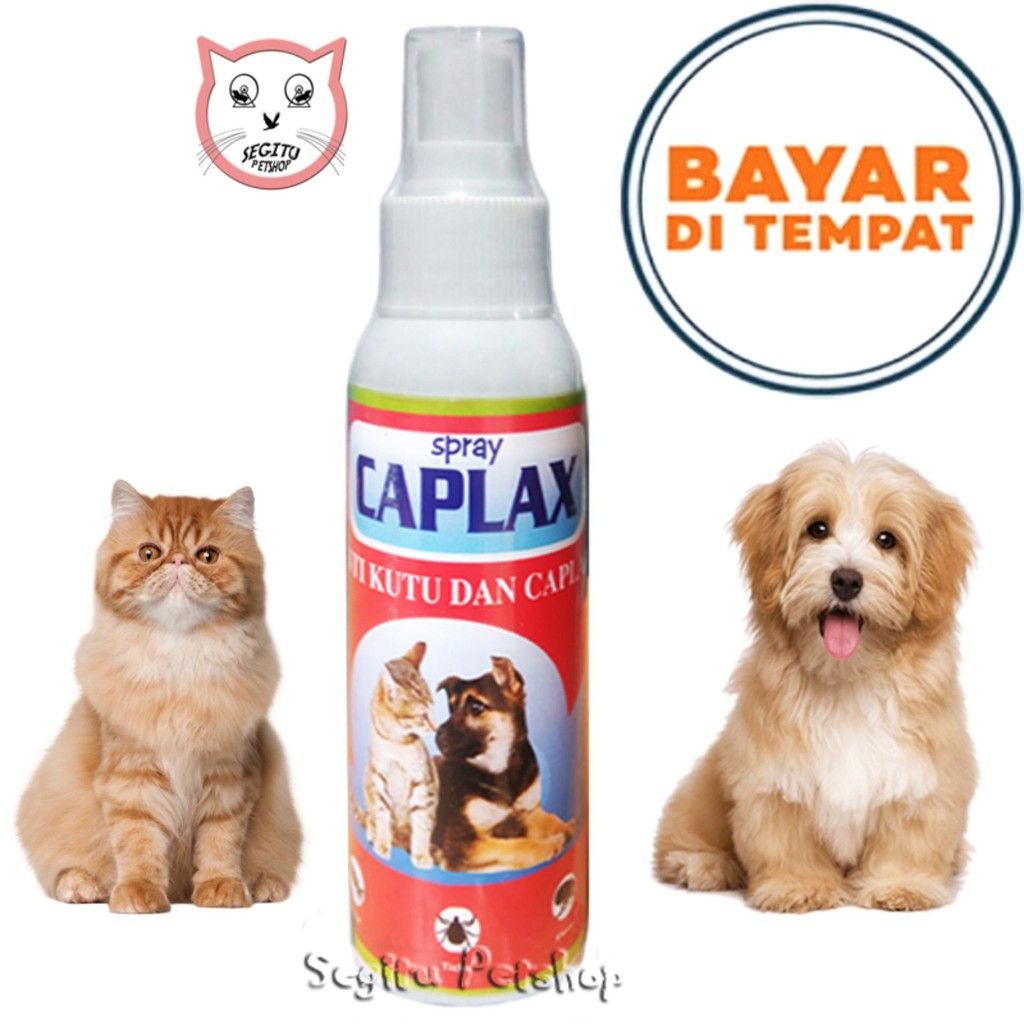 OBAT ANTI KUTU KUCING ANJING SEMPROT CAPLAX