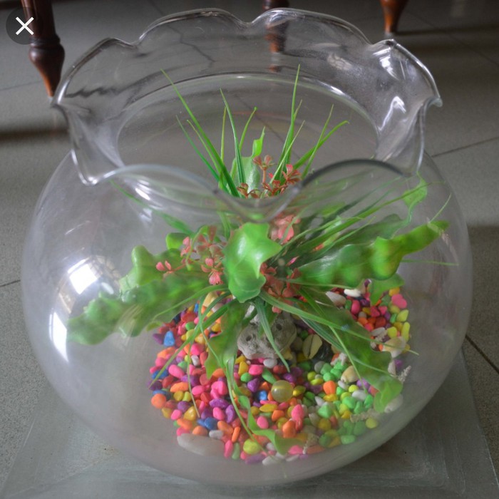 Fish Bowl 7 Liter SHELLA Aquarium Bulat 7L Toples Ikan Undian Akuarium