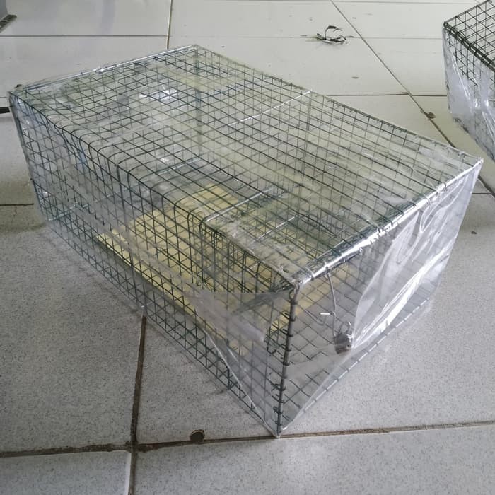 kotak jaring Jebakan Perangkap kandang Tikus masal Mouse Trap besar dramashop