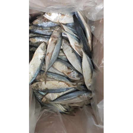 

ikan asin peda putih premium kering