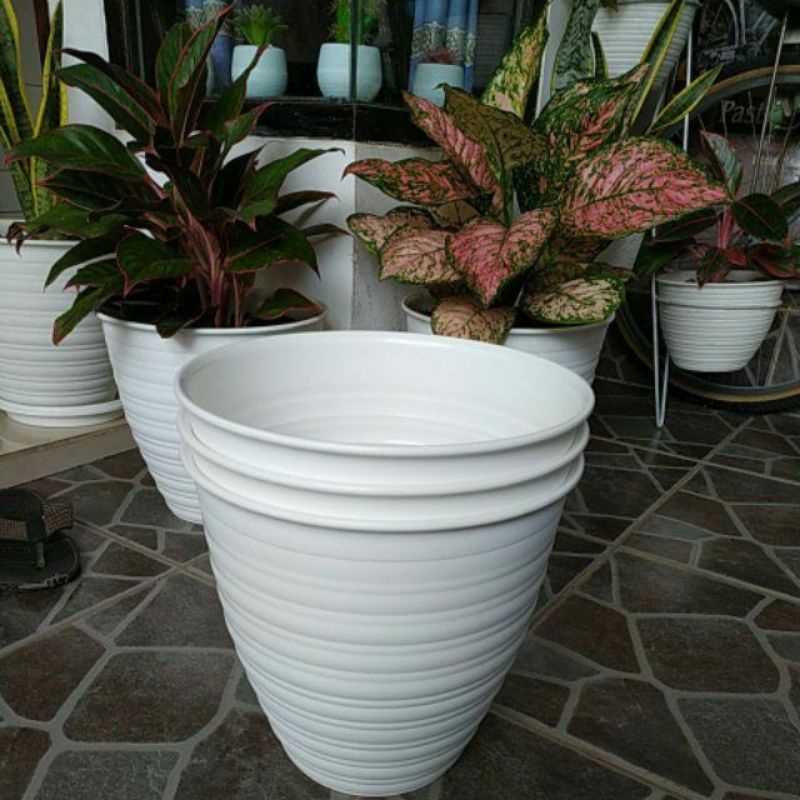 Pot bunga tirus putih 30/Pot tinggi tirus 30cm
