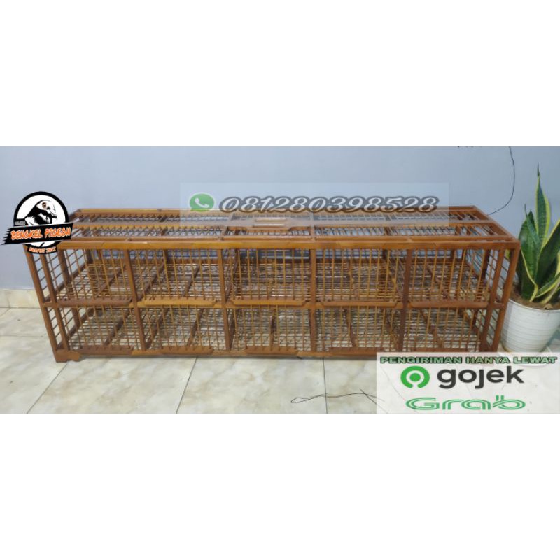 dondang kandang jemur kayu jati merpati jumbo ukuran 5 pasang khusus merpati lomba balap kolongan