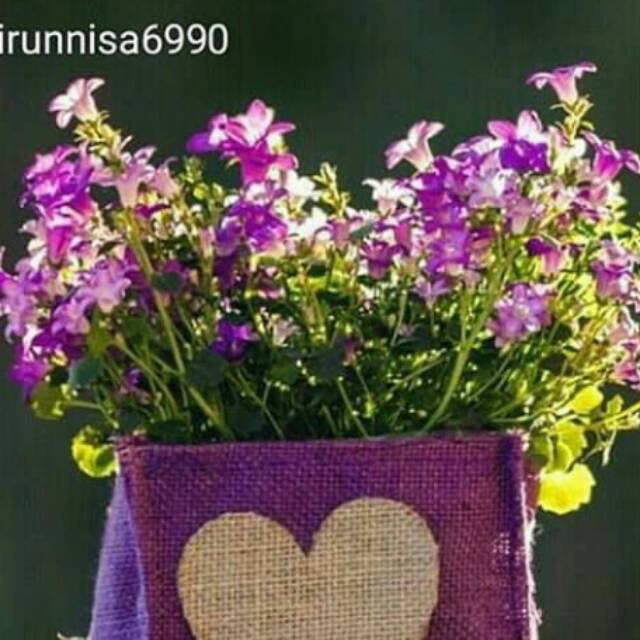 khairunnisa_arya_agus