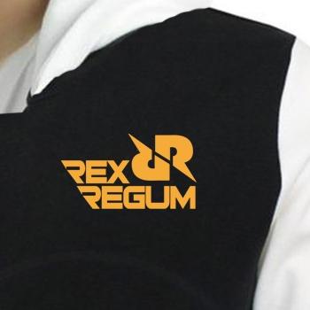 Terbaru.. HOODIE RRQ HOSHI TERBARU 2022 UKURAN S M L XL XXL XXXL 4XL 5XL HODIE JAKET RRQ STORE MOBIL