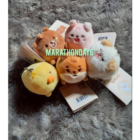 READY STOCK OFFICIAL MERCH DAY6 NEGENTROPY PETIT DENIMALZ + PIN BABY