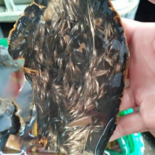 per KG bahan batu akik bulu macan hitam Sumatera sesuai foto