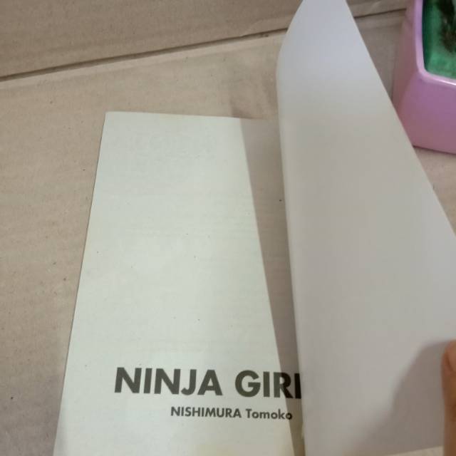 Ninja girl