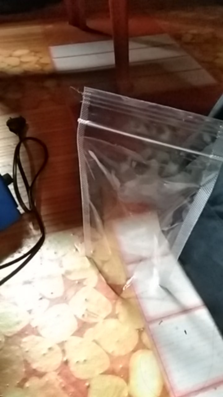 Plastik Klip Kemasan Berdiri Standing Pouch Double Seal Snack 10 X 17,6 Cm Isi 100