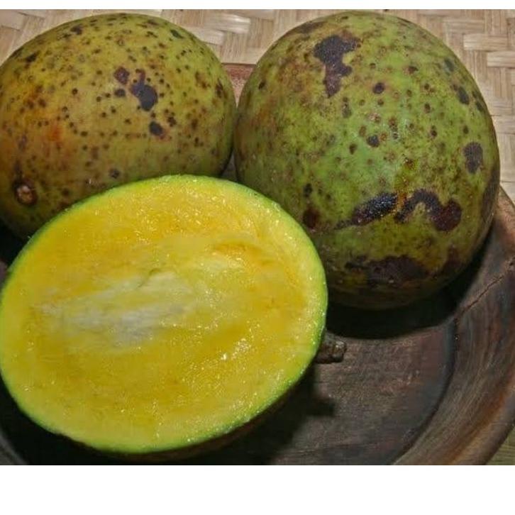 

kode2y2Xm--buah bacang / buah limus / buah pakel 1 kg