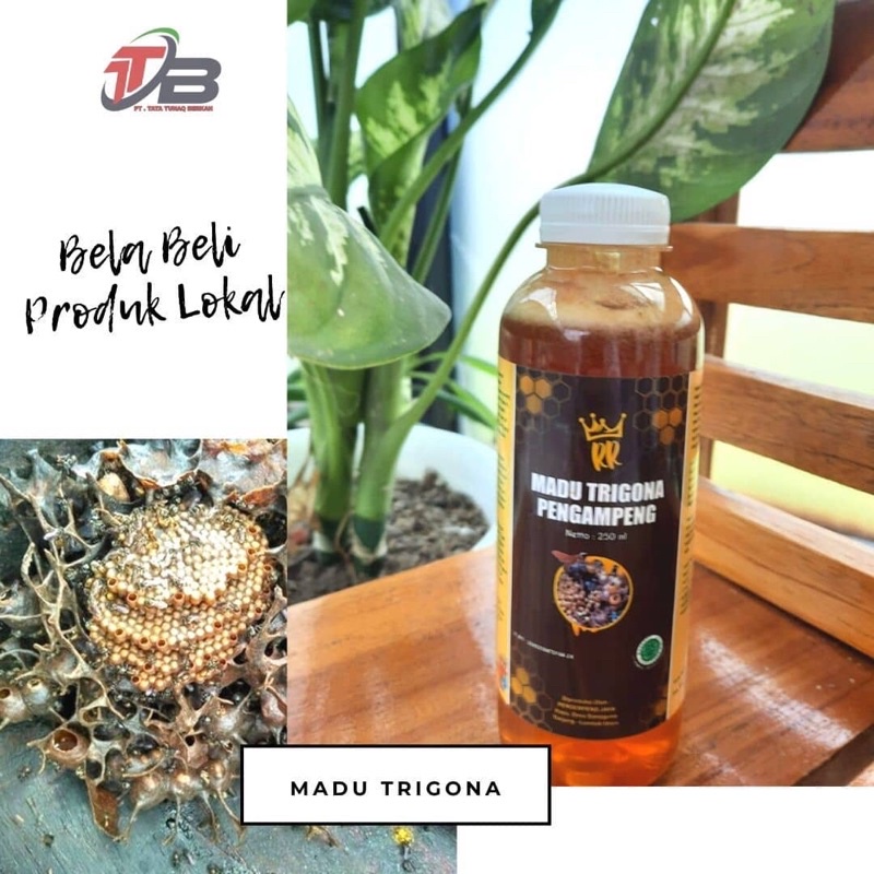 

Madu Trigona Pengempeng