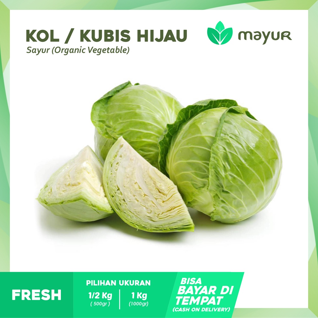 

Kubis Hijau / Kol ( 500gr | 1 kg )