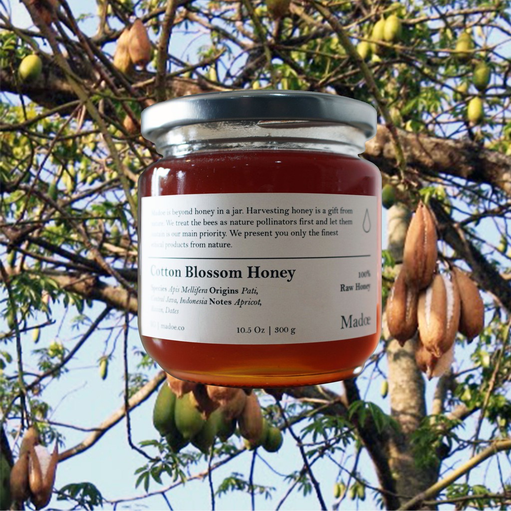 

Madoe - Cotton Blossom Honey