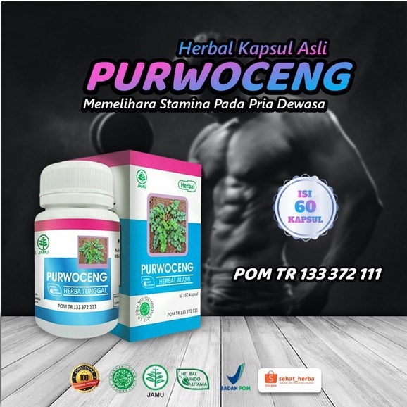 Kapsul Ekstrak Purwoceng ASLI/ORIGINAL - Menjaga Stamina Pria