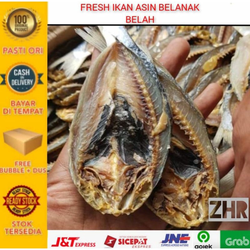 

Ikan asin belanak belah-1kg - - ZHR