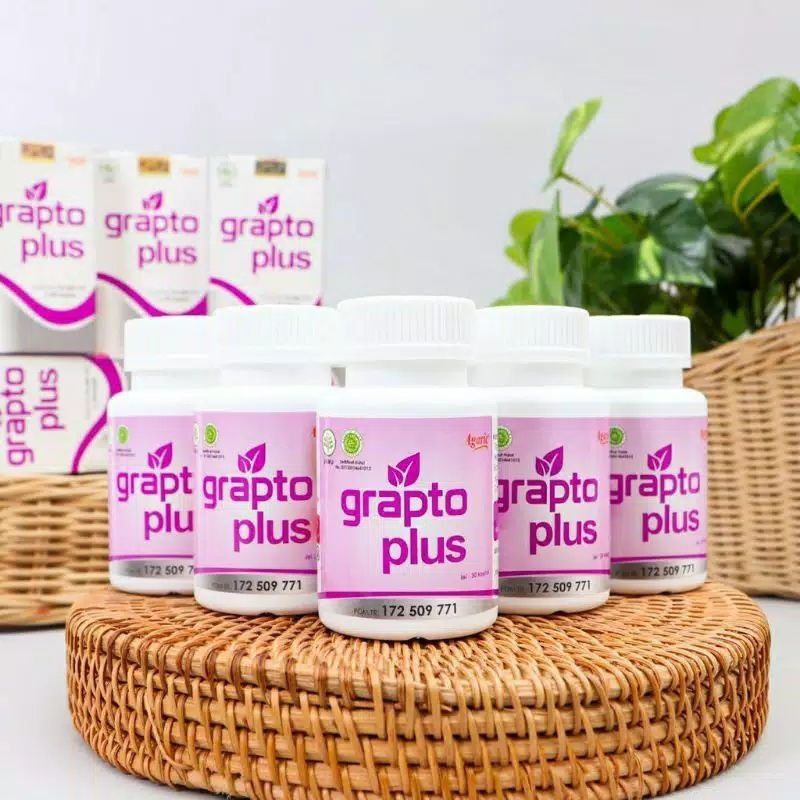 grapto plus asli original