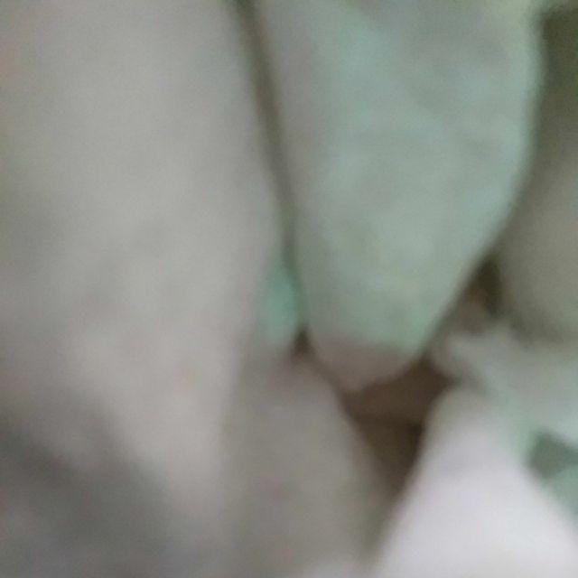 Rantang Stainless 4 Susun - Rantang Makanan Catering