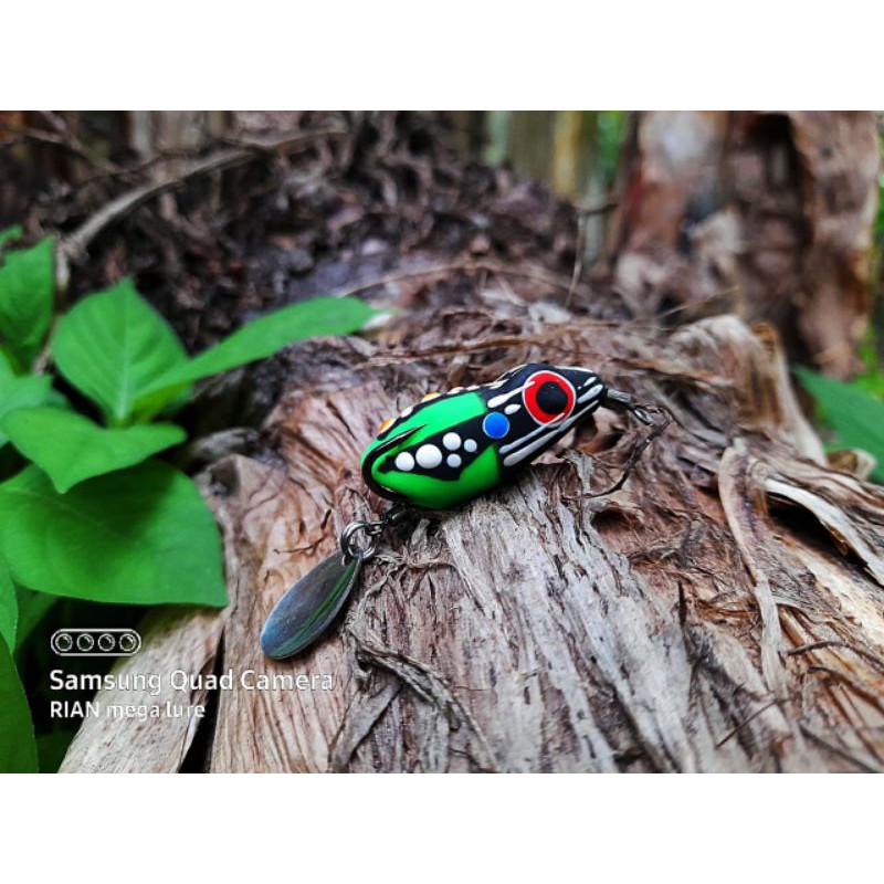 soft frog Mega lure 3'5cm