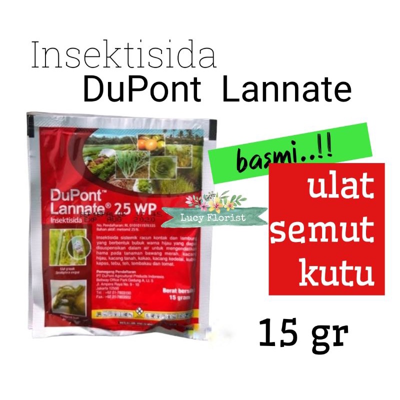INSEKTISIDA DUPONT LANNATE / YANET , 15 GRAM / dupont / lannate / Yanet