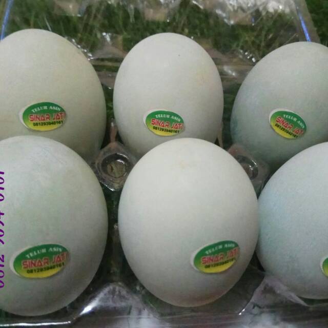 

TELUR ASIN MATANG REBUS/KUKUS ( PACK ISI 6 BUTIR )