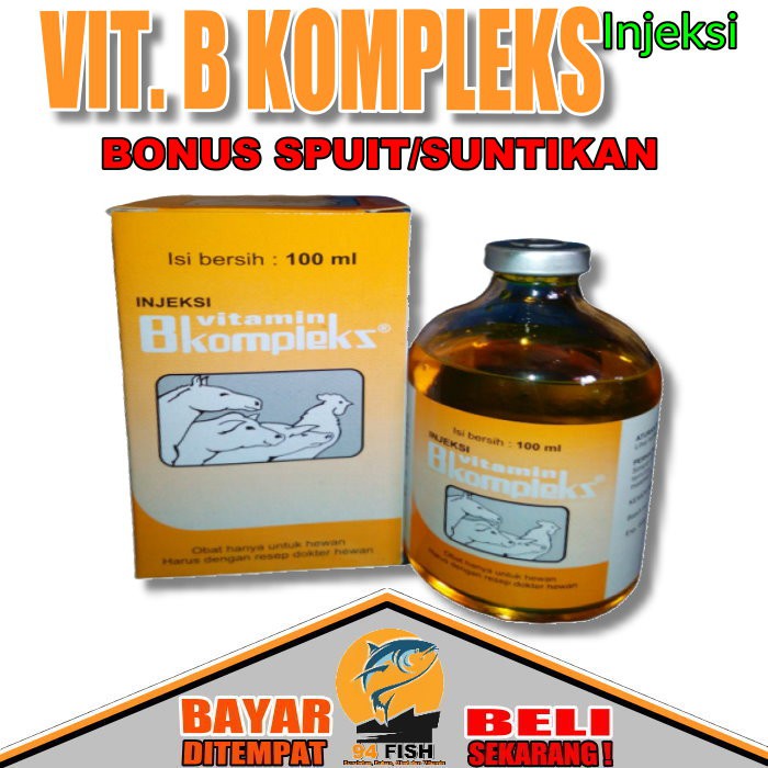 Cek Manfaat Vitamin B Complex Injeksi 