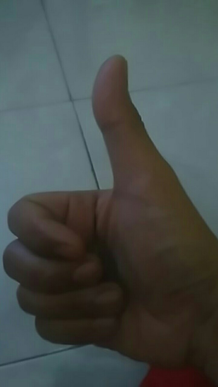 Hand Spray Gun Alat Semprot Cat Manual Alat Semprotan Nyamuk Hit Alat Semprot Obat Nyamuk Semut