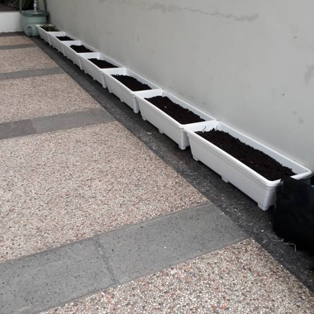  Pot  persegi panjang  S warna putih ukuran panjang  50cm 