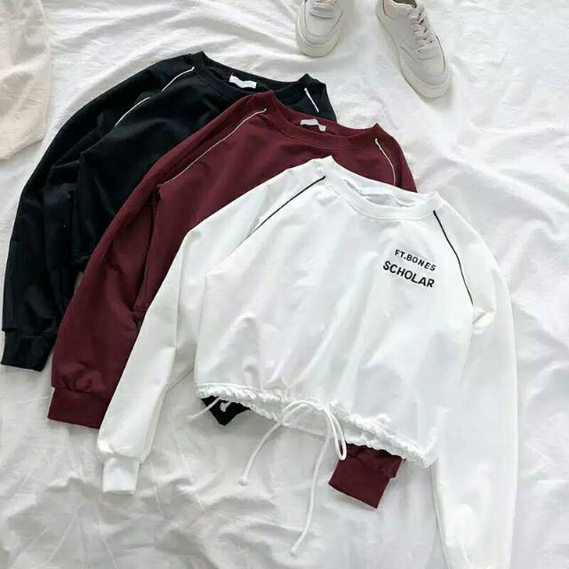 LL- SW SCHOLAR
