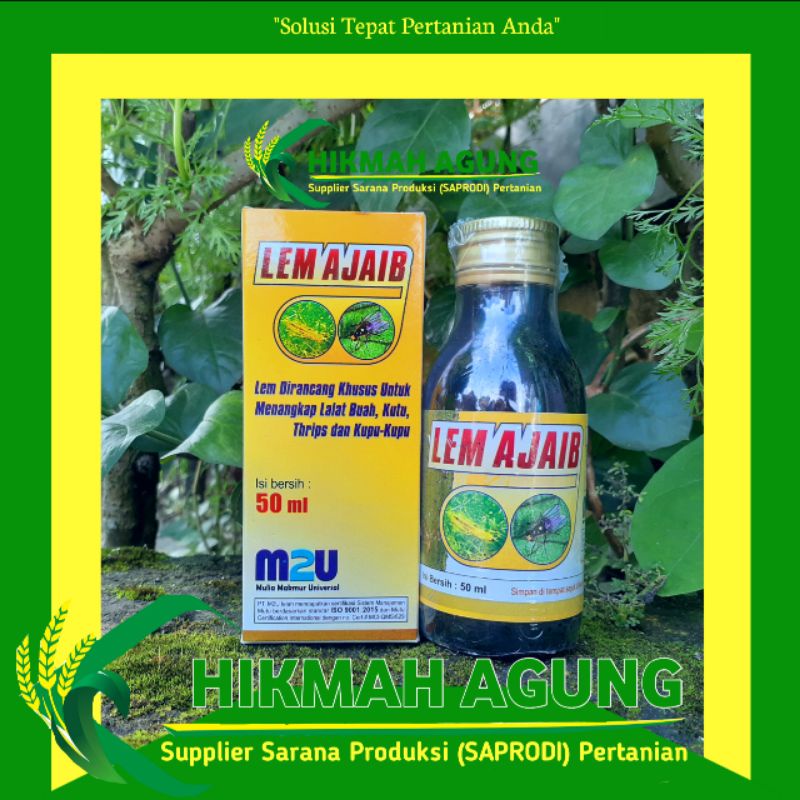 

Lem Ajaib 50ml Perangkap untuk Lalat Buah
