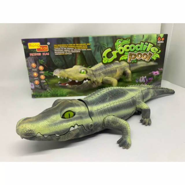 MAINAN ANAK CROCODILE POOL BONEKA BUAYA BISA JALAN MAINAN EDUKASI MAINAN HEWAN BUAYA BANJARMASIN