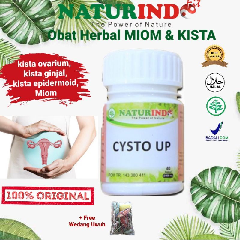 Naturindo Obat Herbal CYSTO UP Miom Kista Ovarium Ginjal Epidermoid