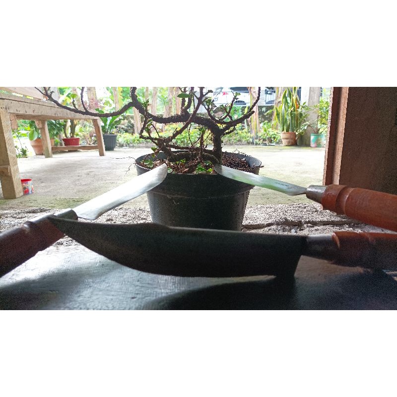 Pisau Cincang Daging Ayam