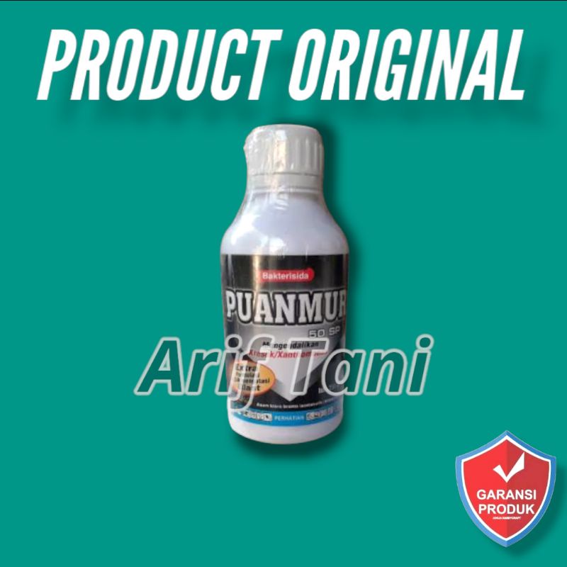 PUANMUR 50 SP 250 GRAM FUNGISIDA