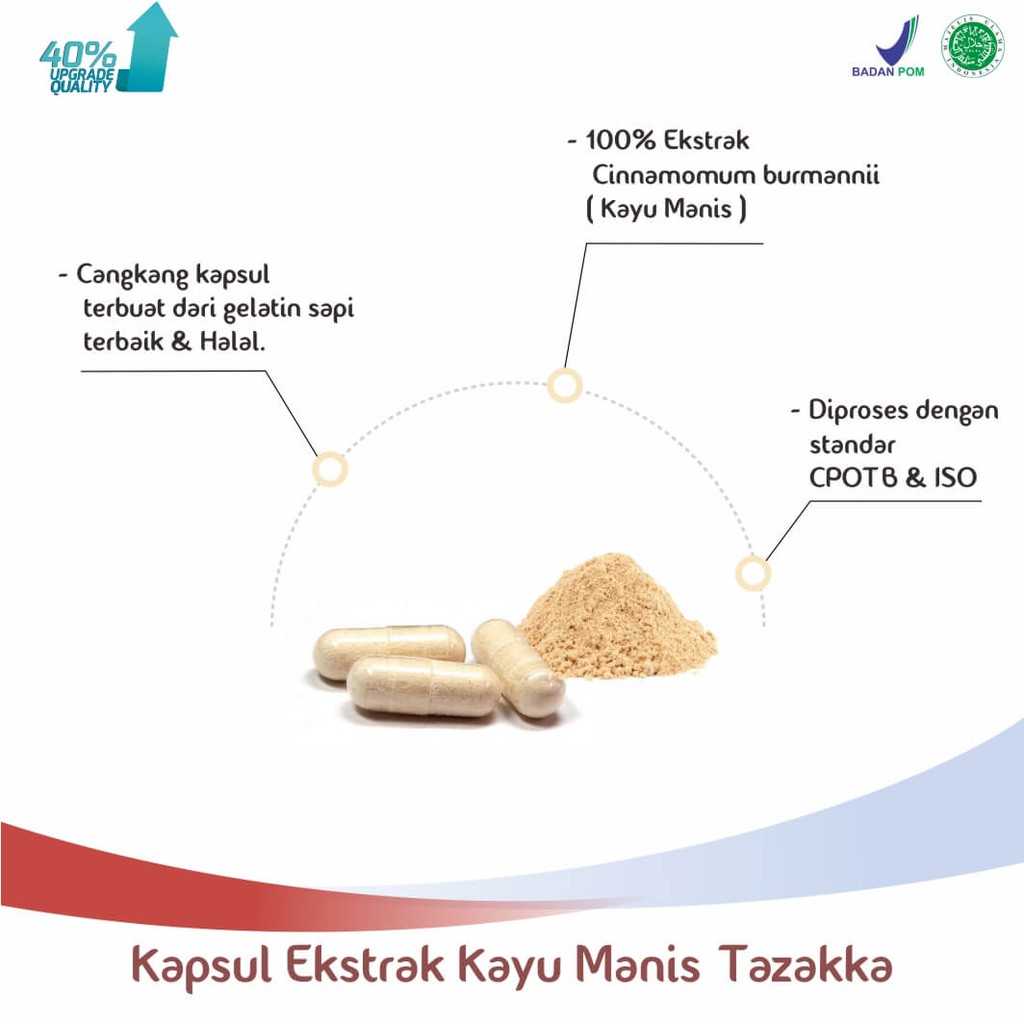 ORIGINAL - 𝐄𝐊𝐒𝐓𝐑𝐀𝐊 𝐊𝐀𝐘𝐔 𝐌𝐀𝐍𝐈𝐒 Kapsul - Cinnamomum burmannii Bantu Herbal Kaya Antioksidan Izin BPOM