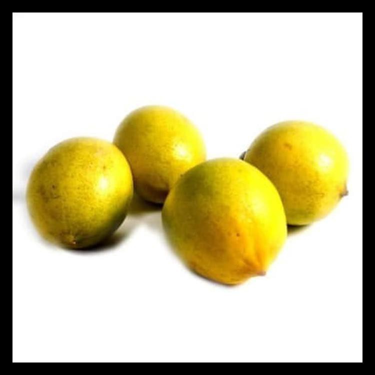 

Sale Lemon Lokal Hot List