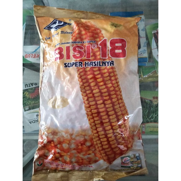 BENIH JAGUNG BISI 18