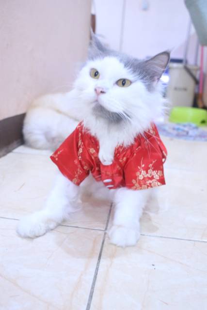 Baju chongsam spesial ada tas slempang untuk angpao imlek 2020 / baju kucing dan anjing size S-XL