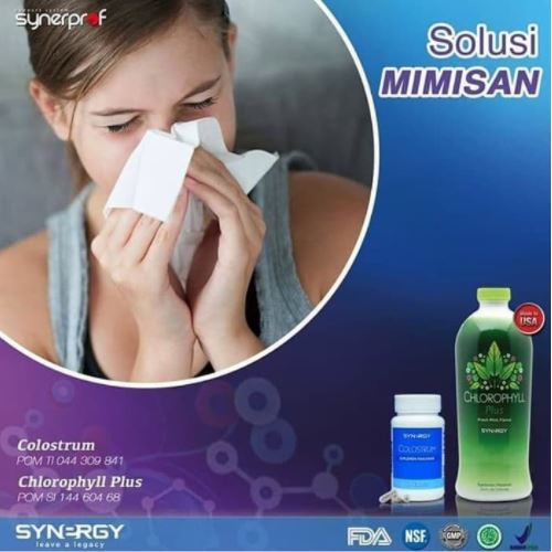 Obat Solusi Mimisan Produk Import Synergy Usa Chlorophyll Plus dan Klorofil Colostrum Usa