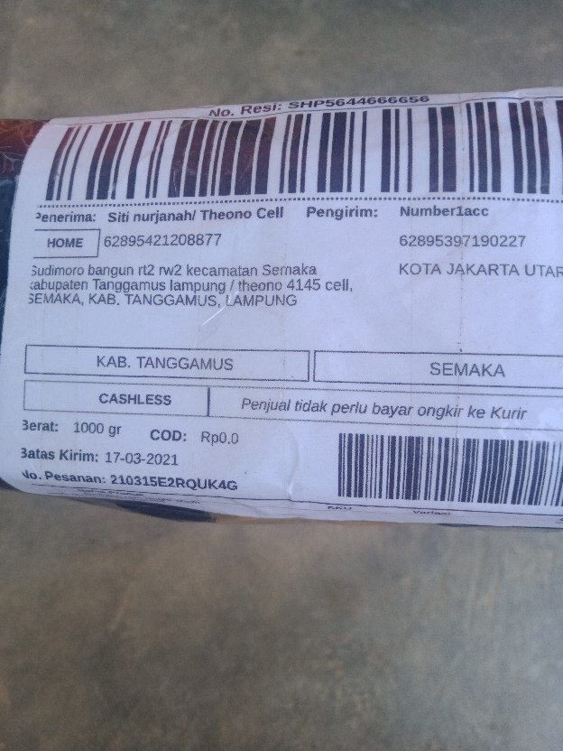 Cantolan Ram Single 10cm